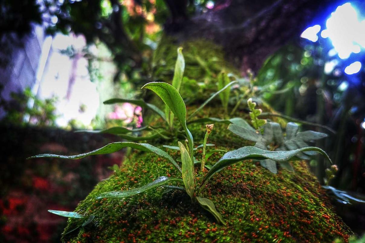 Dignissimos aut quae illo